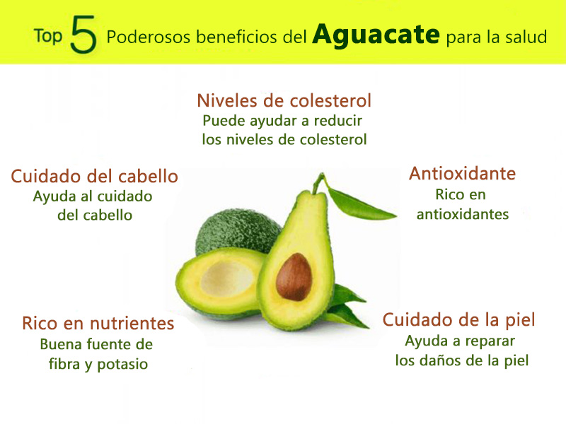 - 15 Beneficios del Aguacate, Nutricion Y Efectos Secundarios