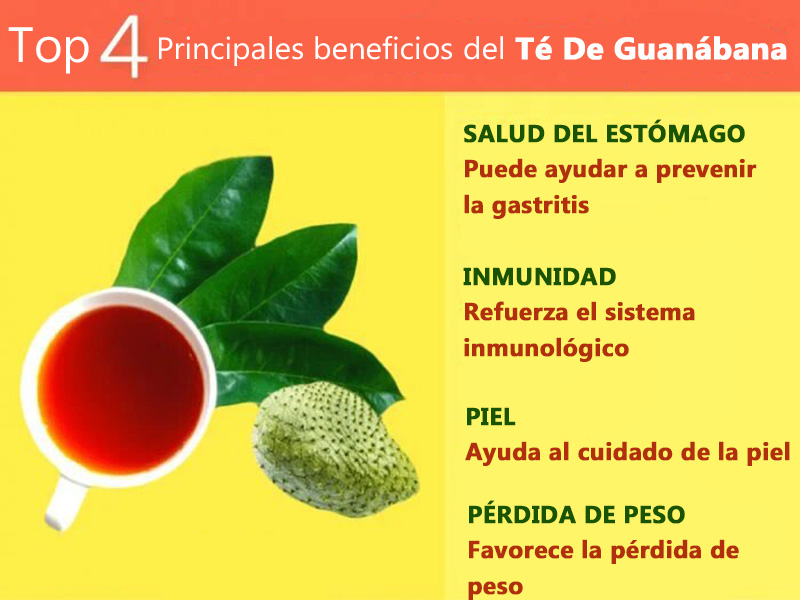- 7 Beneficios del Te de Guanabana, Como Prepararlo y Efectos Secundarios