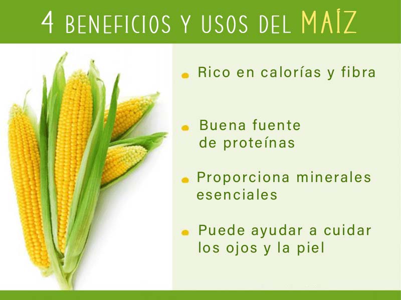 - Nutricion Y 7 Beneficios Del Maiz Para La Salud